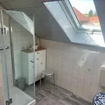 Seebauer *